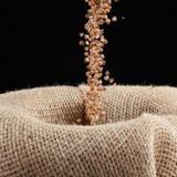 ������: �������, ������ �������