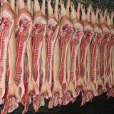 � ������ ����� ������ ����� ���� �� �������