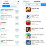 Apple       App Store    ...