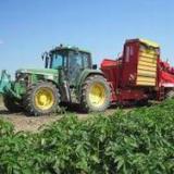 ��� ���� ����� �������?