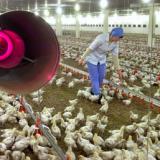 �� ����� �������� ������������ ���� ��������