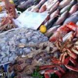 ����������� �� ����� ����������� ����