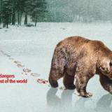 ���������� ��������� � ������� �����, ��� ��� ������