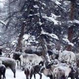 ����������� ��������� ������� � ������