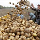 ���������������� ��������� ���� ��������� �� ����������