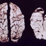 �������� ����� � ������ � ���� � ����������� ����������