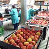 ���������������� ��������� ��������� ����������� ������� ��-�� �����