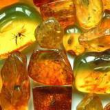 ����� �� ������: ����� �������