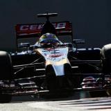 -   Toro Rosso