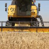 �� ������ ��������� �� ��������� �����������