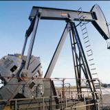 ������� ���� �������� ���� �� �����