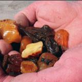 � ������ ��������� ������ ��������� ����������