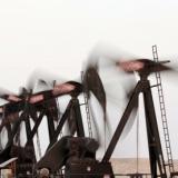 ����� �� ������ � ������� ���������� �� 5 ��������