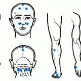 ����� ��������: �������� ������ ������ ��������