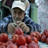 ����� ������������ ������ �������� �������