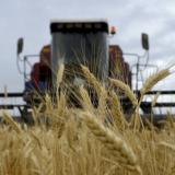 ���������������� ����� ��������� ������� ����� ����� ������