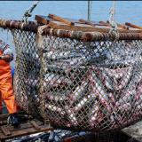 �������� ���������� ������ ��������� ��������������� ������