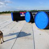 ���� ����������� ����� � ������: ������ ����� ��� ����� ������?