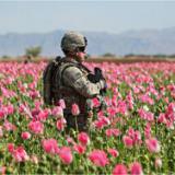 �� ��������� � �� ������ �������� ���