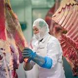 ���������������� ��������� ���� ���� �� ������