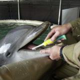 ��������: �� ������������ ����� ��������� ������ ������ � ����������