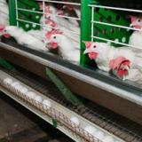 �� ����������� ���� �� ���� ����� �� ��� � ������ ������ �����������