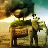 ������� ���: ������ � ������