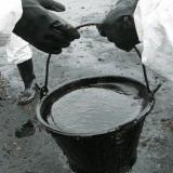 ���: ����� �������� ���� ������� ������ ��������� ����� � ���