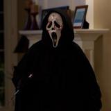 ���� ��������