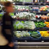 ����� ������ ���� ��� �� �������� ���������