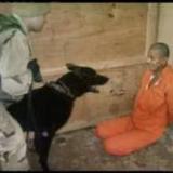 ����� �� �����, ���� �� �� ���������� ��������� ������