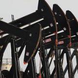 ������� ���� �� ����� ���������