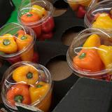 ���������������� ���� �� ��������� ���������� � ���������� ����������� �������� ...