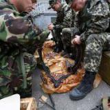 �������� ����� � 2017