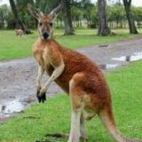 ������� ����� �������� ������������� �����