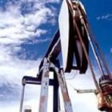 �������� ����� ���� ��������