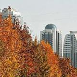 �� �������������� ����� ����� ����� ��������� 464 ���� ������