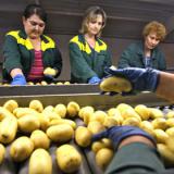 ������� ����������� �������� ����� �� ������������� ����������