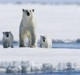 �������� ������ � ������, ����� ������� � ����� ������ �� �������� �����