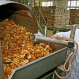 ����������� ����� ����������� ������������ ������� � �����