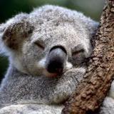 ������������ ��������� �����