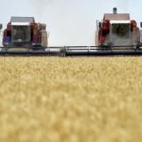 ���������� �������� ������ ��������� ��������� ������������ ���