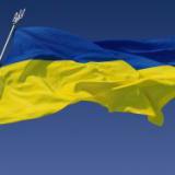 ���� ������������, ���������� ��������� �����