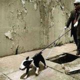 �������� �� ���, �� ����������