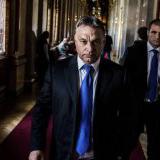 �������: ������ ������ ������