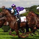 ���� �����. �������� ������ �� �������� �����. ��������� �������