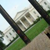 ���������� �������: ���� 2014-� ��� ���� ����� �������� ��� ������