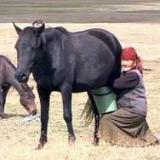 ��������� ���� ���������� ������