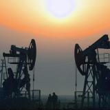 ������� �������� �� 20 �������� �� �������