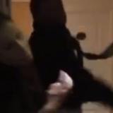    :    
